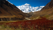 adi Kailash with Om Parvat Yatra